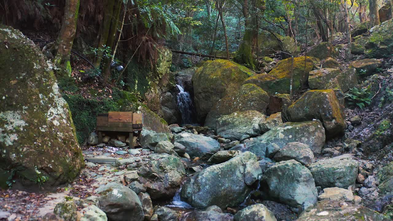 empujar hacia adelante sobre rocas de musgo y arroyo de montaña en el campo de japón