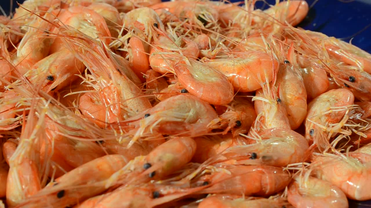 Gamberi bolliti. Frutti di mare su un piatto