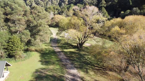 camping en el bosque nativo de nueva zelanda 4k drone shot
