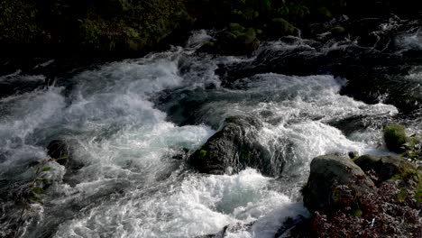 daiya river rapids turbulent raging water mesmerising power of nature slo mo