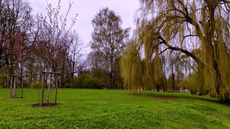 céspedes verdes y árboles en el parque de la victoria en riga, letonia - disparo de avión no tripulado