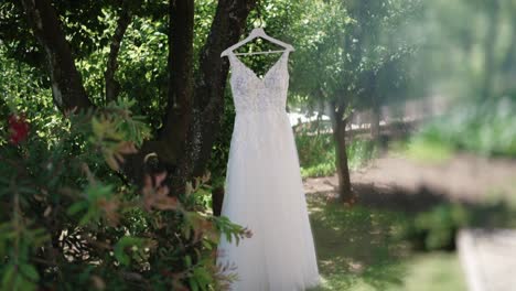 bridal gown with lace detail hanging on a tree in a lush garden, soft natural light
