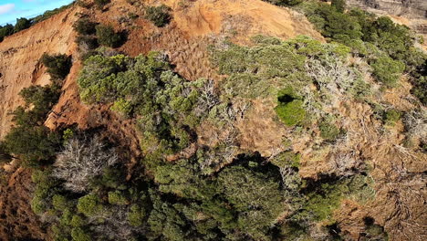 aerial view of a mountain cliff with helicopter shadow