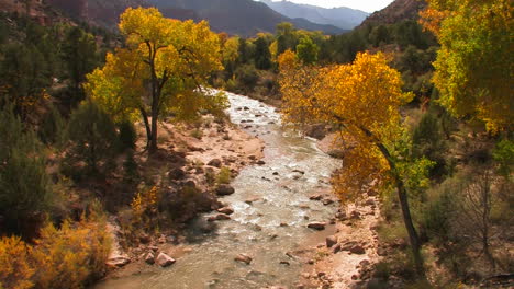 un río fluye a través de un hermoso bosque de otoño 1