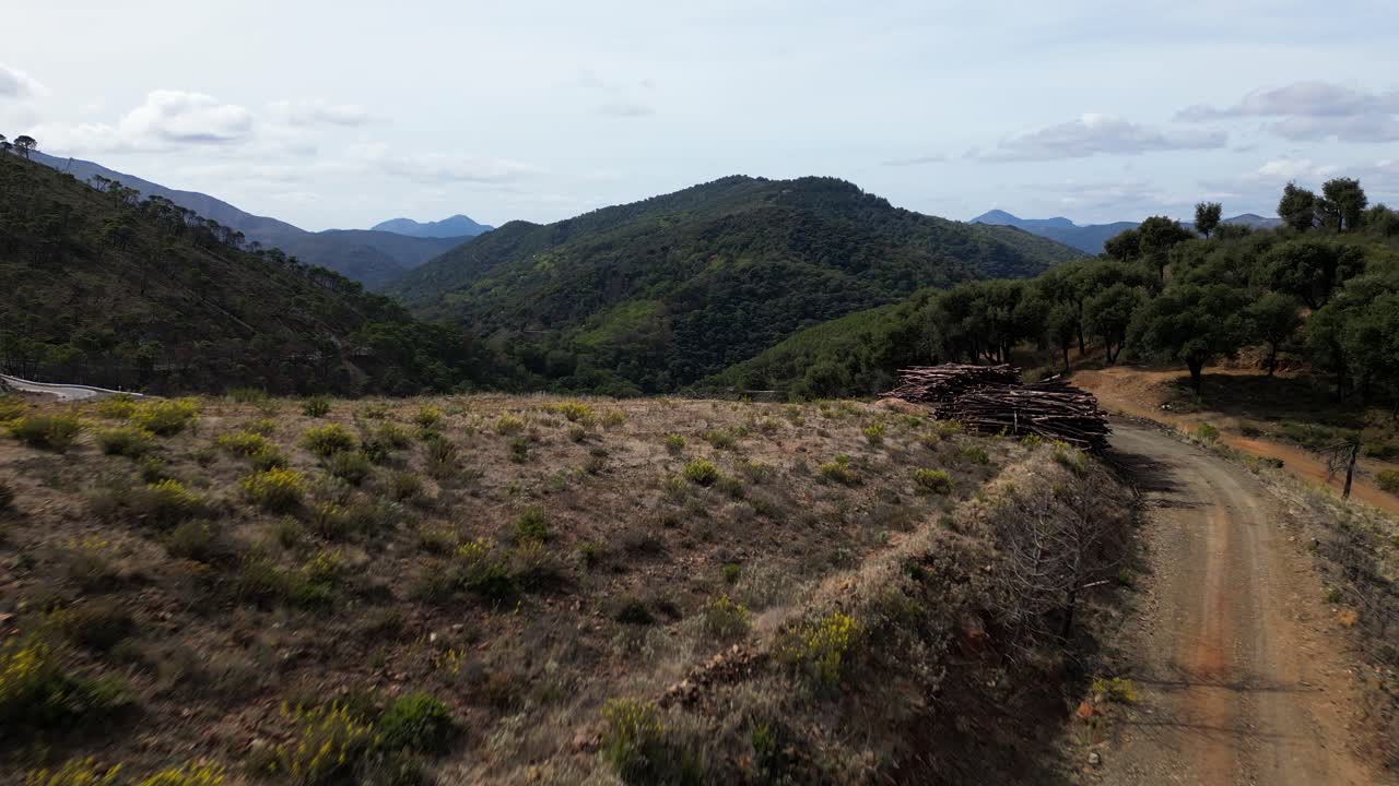 parcelas de bosque cortadas en las montañas de españa, vista aérea