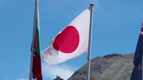 flags of different countries waving in the wind