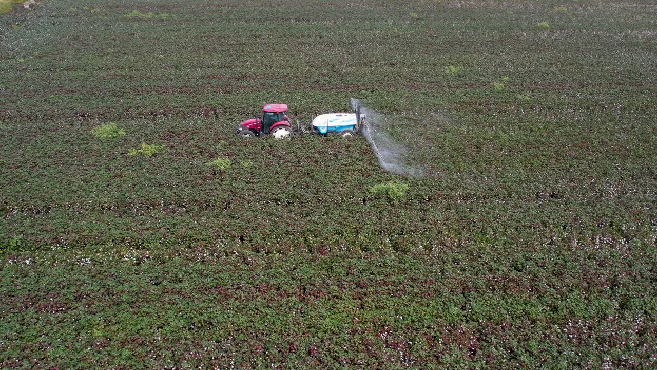 Vista Aerea di un Trattore che Irrora un Campo di Cotone