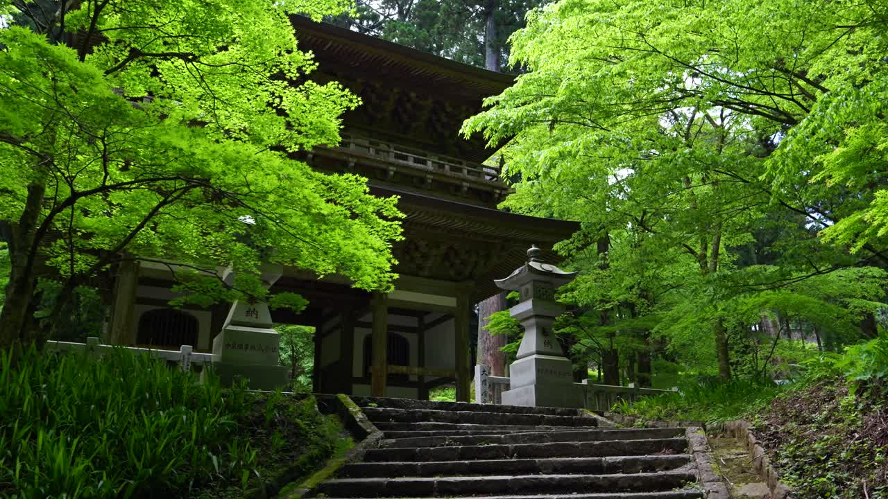 caminando hacia la puerta del templo japonés en un hermoso bosque exuberante