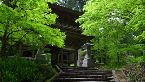 Walking-toward-Japanese-temple-gate-in-beautiful-lush-forest