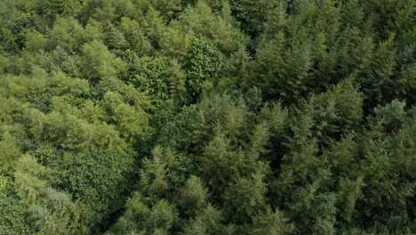 aerial reveal 4k footage of the irish border with northern ireland, to the left is warrenpoint