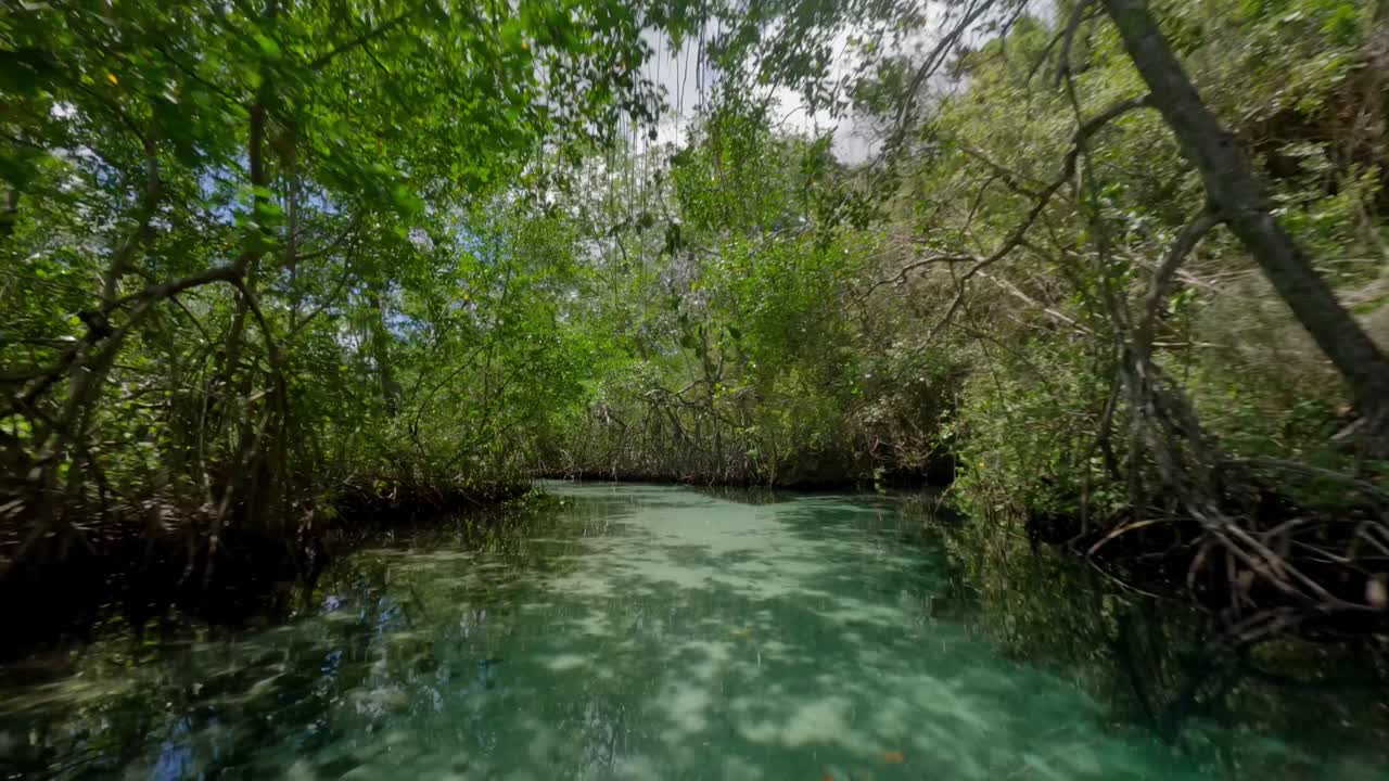 Drone flying low over turquoise waters of Ca&ntilde;o Frio river in tropical forest, Samana in Dominican Republic