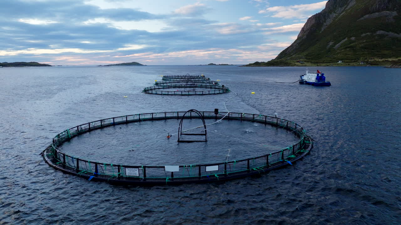 해가 지는 노르웨이의 연어 농장, 베스테랄렌 제도, 노르웨이. 낮은 고도에서 공중 드론