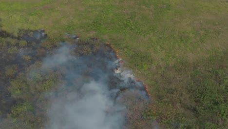 drone shot of a forest fire on an island