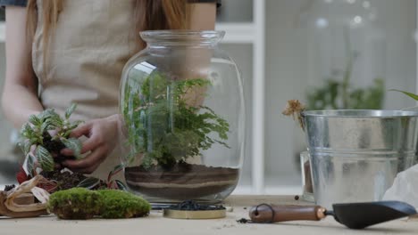 a young female florist prepares nerve fittonia plants for creating a tiny live forest ecosystem - close-up