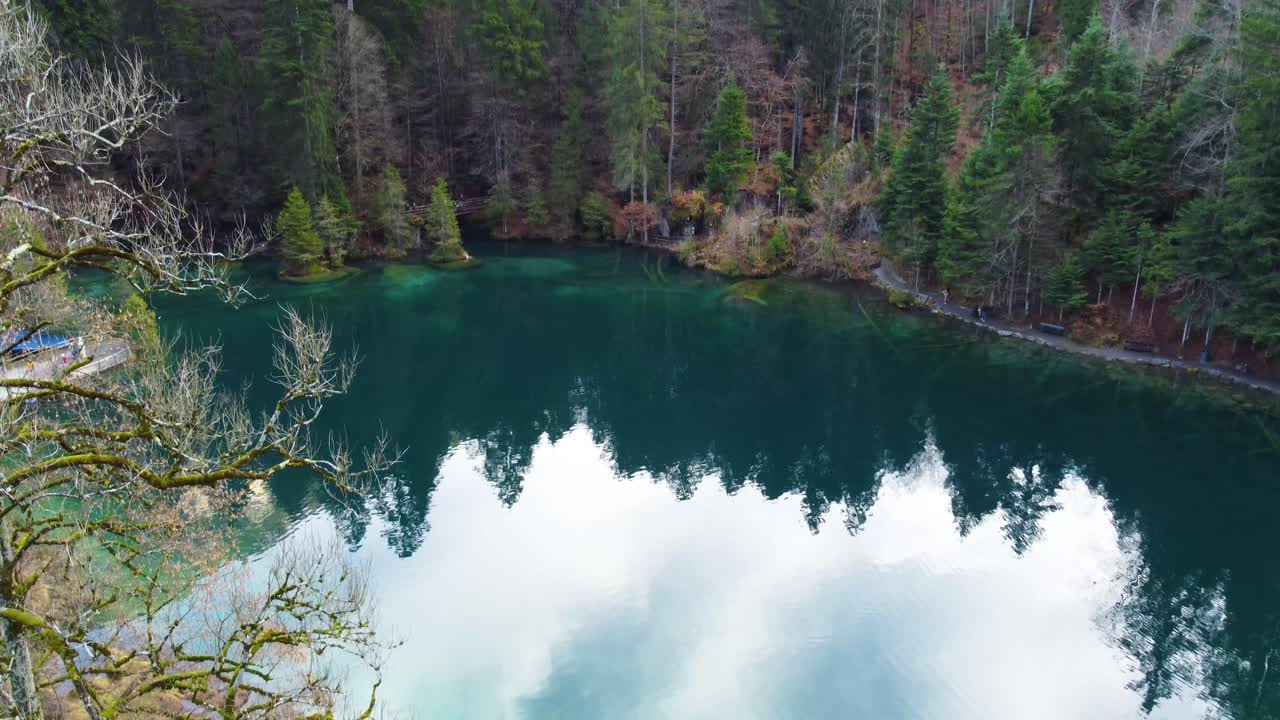 Veduta della foresta di Blausee in Svizzera, ripresa drone 4K