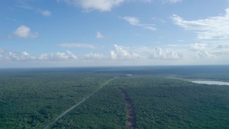 Aerial-view-from-south-to-north,-over-deforestation-on-the-line-of-"Tren-Maya"-train-project,-in-Quintana-Roo-state,-Mexico,-at-ten-kilometres-of-"Felipe-Carrillo-Puerto