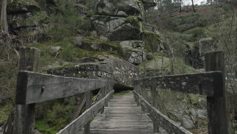 timeworn wooden bridge in gerês forest, portugal