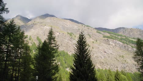 Pine-trees,-clouds-and-mountains