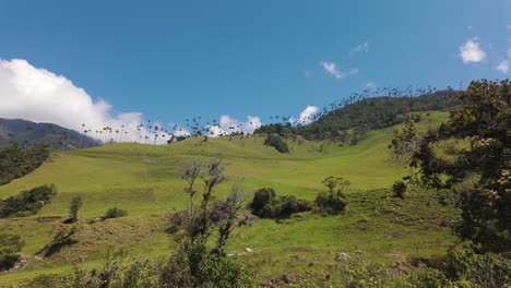 panorámica del exuberante valle de cocora con palmeras de cera, colombia