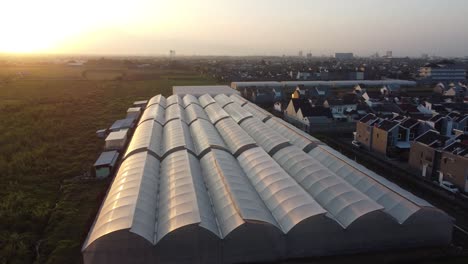 Drone-flying-above-greenhouse-organic-plantation-next-to