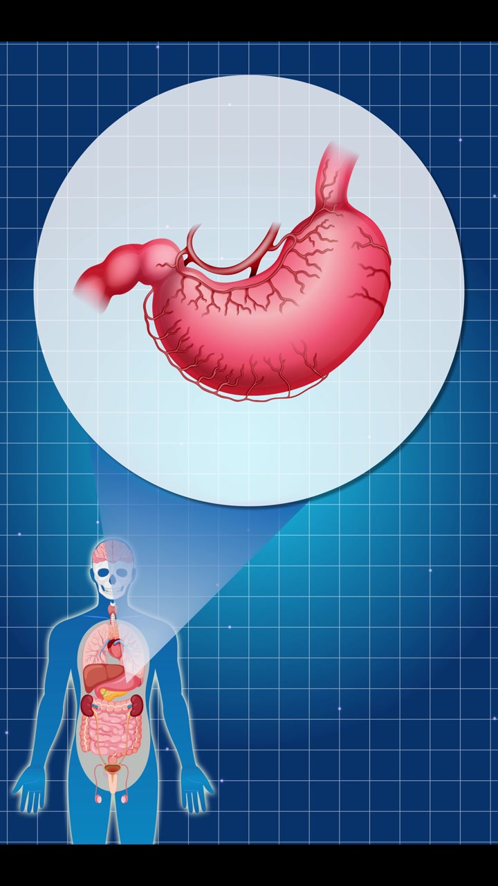 Animation zooms into the human body, highlighting the stomach with detailed anatomical visuals on a blue grid background