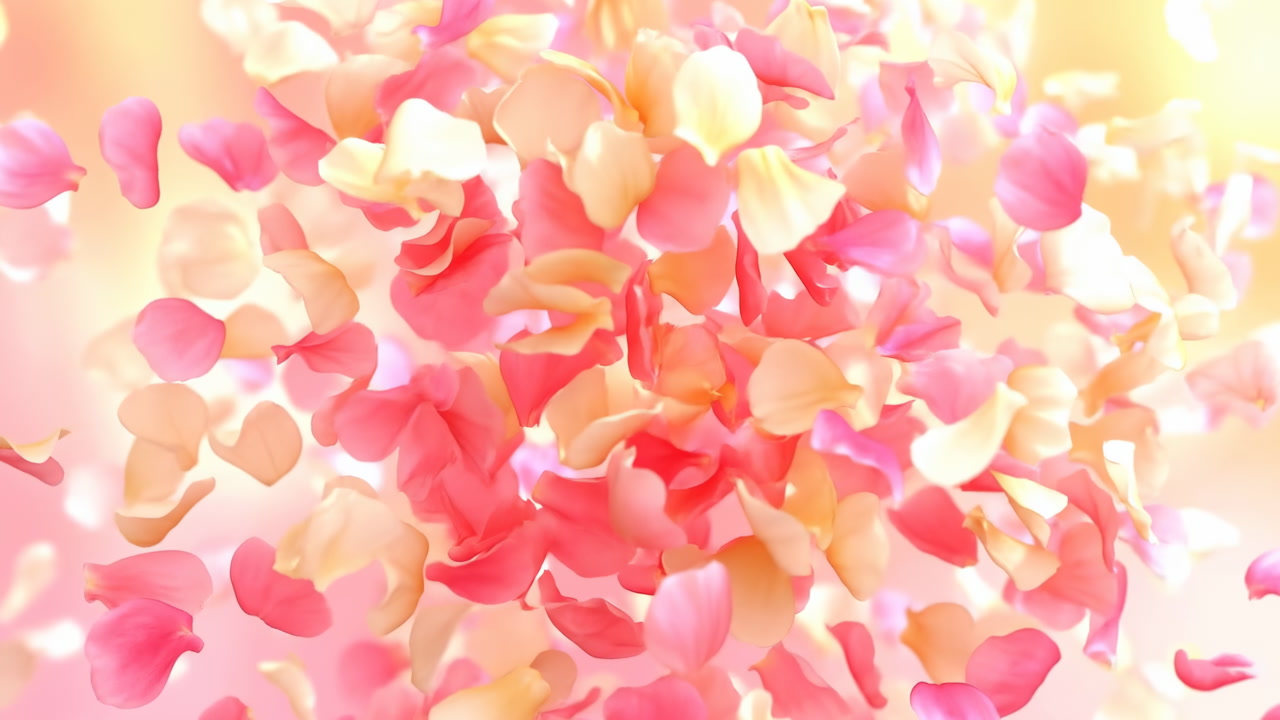 Pink Peach Petals Swirling In Sunlight Soft Romantic Blossom Shower With Warm Golden Bokeh Slow Floating