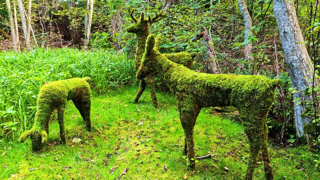生い茂った森の中に佇む、苔に覆われた鹿の彫刻。自然と芸術的なフォルムが融合しています。