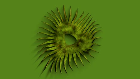 fondo abstracto pulsación flor orgánica pétalo florecer 18