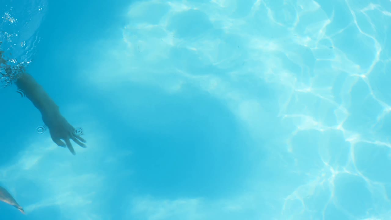 Tampilan sudut tinggi wanita muda ras campuran berenang di bawah air di kolam renang 4k
