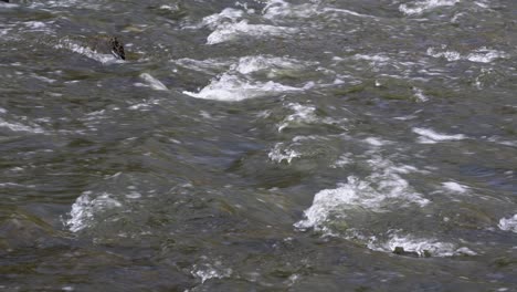 Agua-Que-Fluye-Rápidamente-De-La-Corriente-Del-Río-En-Yangjaecheon-En-Seúl,-Corea-Del-Sur