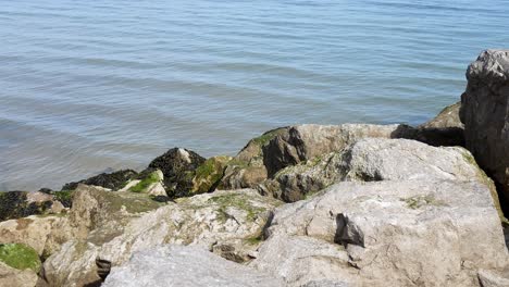 tropical sunny clear calm tide waves ripple against rocks on shore edge dolly right