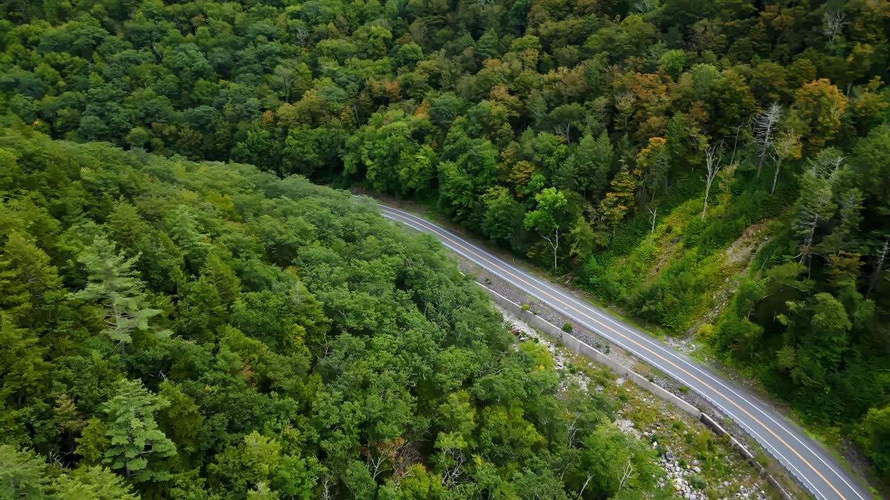 Beautiful aerial view of winding forest Mohawk Trail scenic road surrounded by dense green hill, Berkshire, Massachusetts, USA