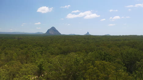 drone aéreo sobre árboles australianos verdes para revelar la cordillera de invernaderos en la distancia, 4k