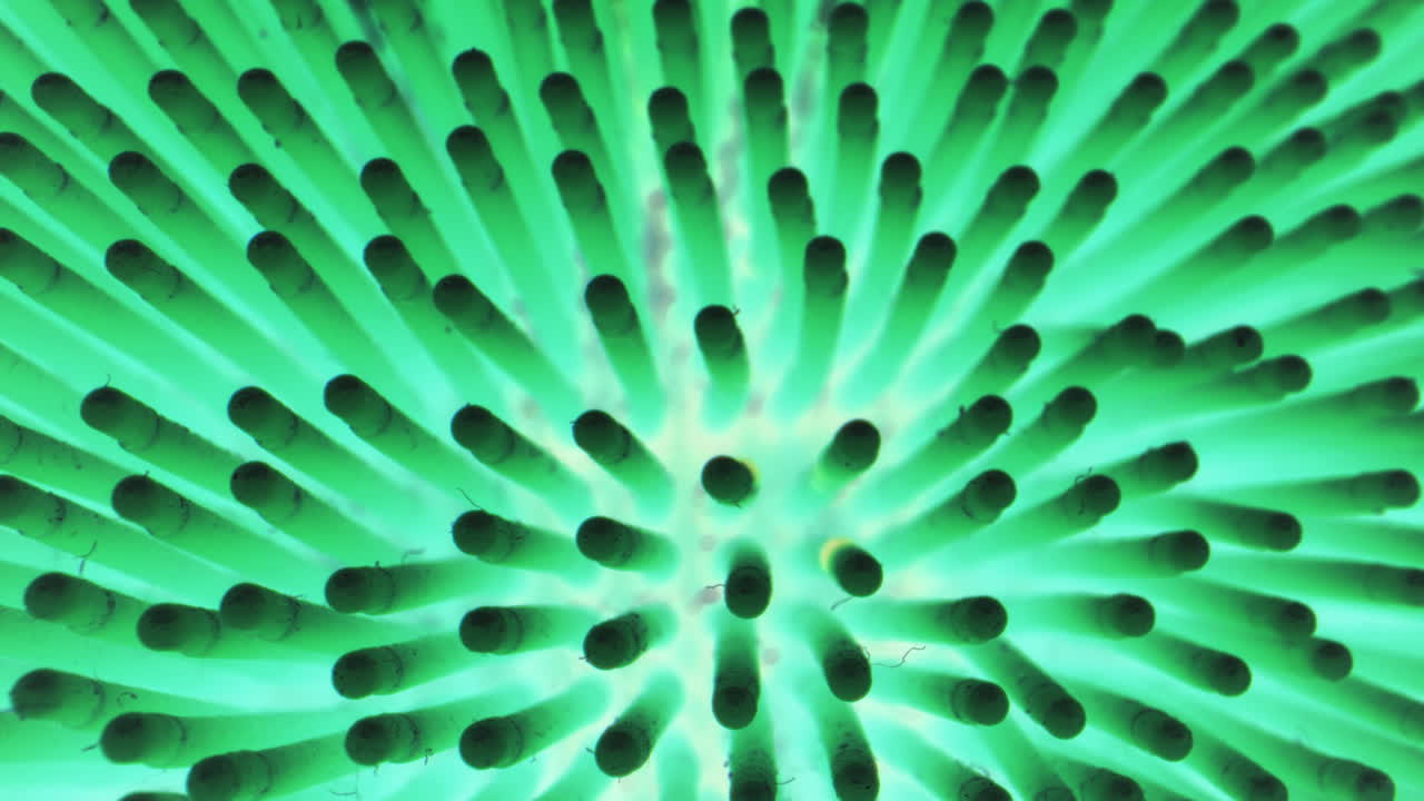 Close-up of a vibrant green sphere with numerous small protrusions