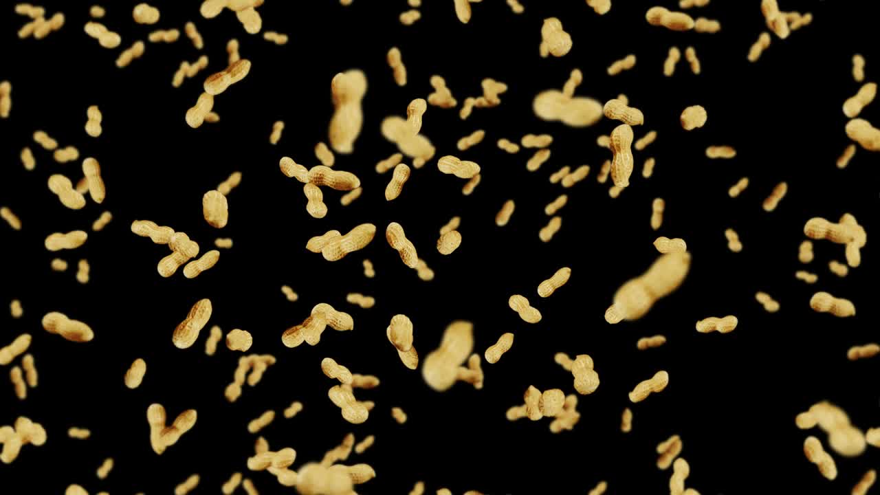 volare molte arachidi su sfondo nero. arachidi crudi. arachidi in gusci. cibo biologico sano. animazione a ciclo 3d della rotazione dei semi.