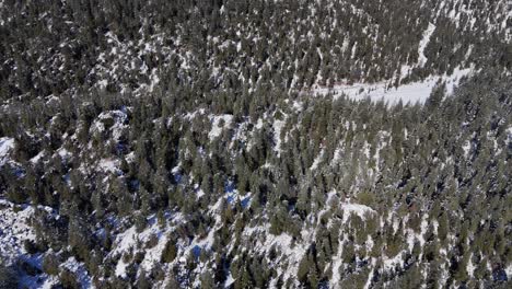 Vista-Aérea-Con-Río-Congelado,-árboles-Cubiertos-De-Nieve-Blanca