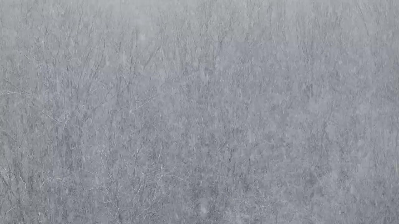Blizzard in the winter.