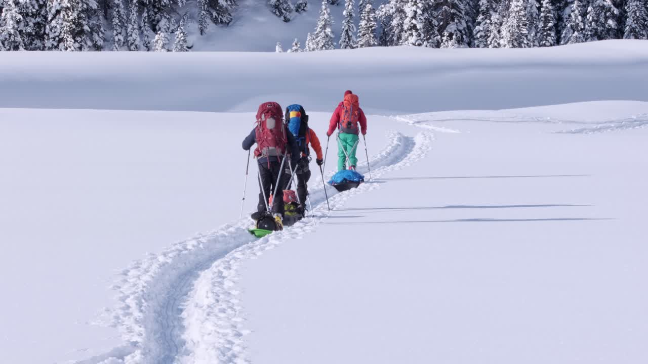 펄크 썰매를 당기는 3명의 원정 스키어가 풀밭을 나무로 가로지릅니다.