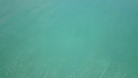 drone aerial pan up over tropical blue ocean and daintree rainforest