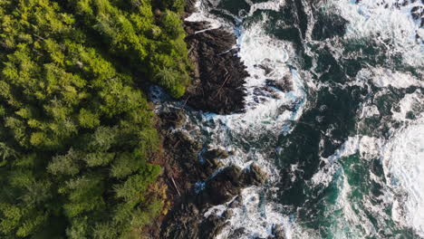 Drone-video-at-sunset-in-Ucluelet-British-Columbia,-Canada-over-the-ocean-and-forest