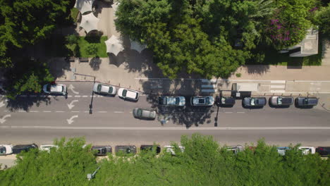 king david boulevard tel aviv, full of trees on their sides that create shade from the intense heat for pedestrians - top down shot