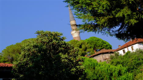 el minarete de la mezquita entre los árboles