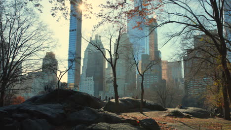 roca descansando en central park con rascacielos y oficinas de la ciudad de nueva york en estados unidos