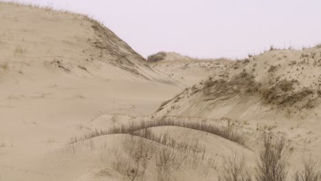 dunes of the cape