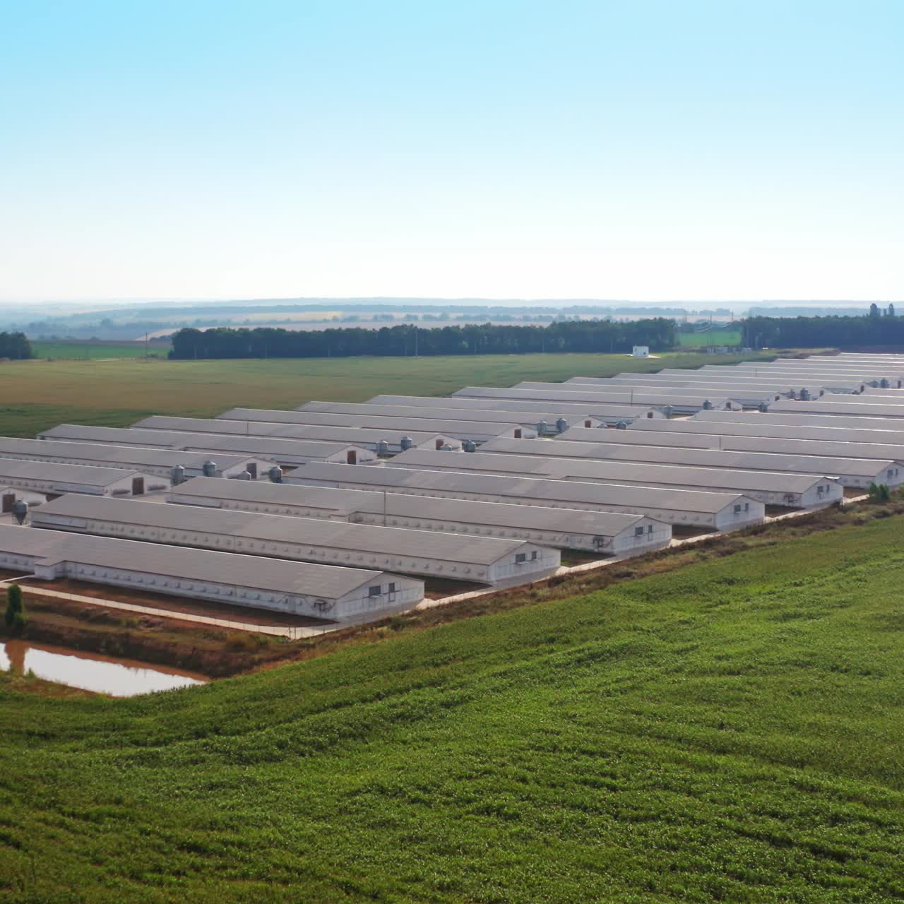 Well-kept territory of modern agricultural industry farmhouse. Manmade pond for farming purposes beside the farm. Sunny day backdrop
