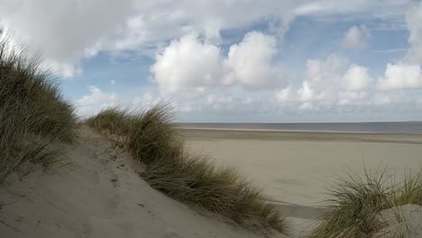 the sand dunes of the island of texel in holland