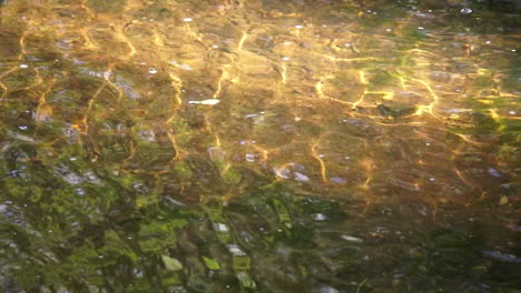 panning shot of light refractions moving downstream in creek