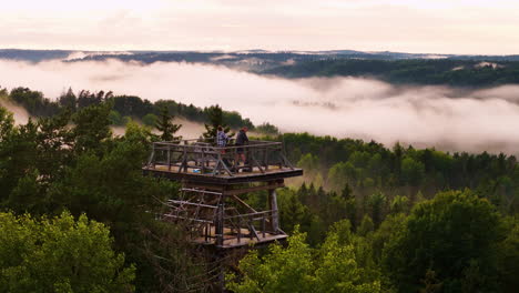 beautiful 360 aerial views from an observation tower in kemeri national park, jurmala, latvia.