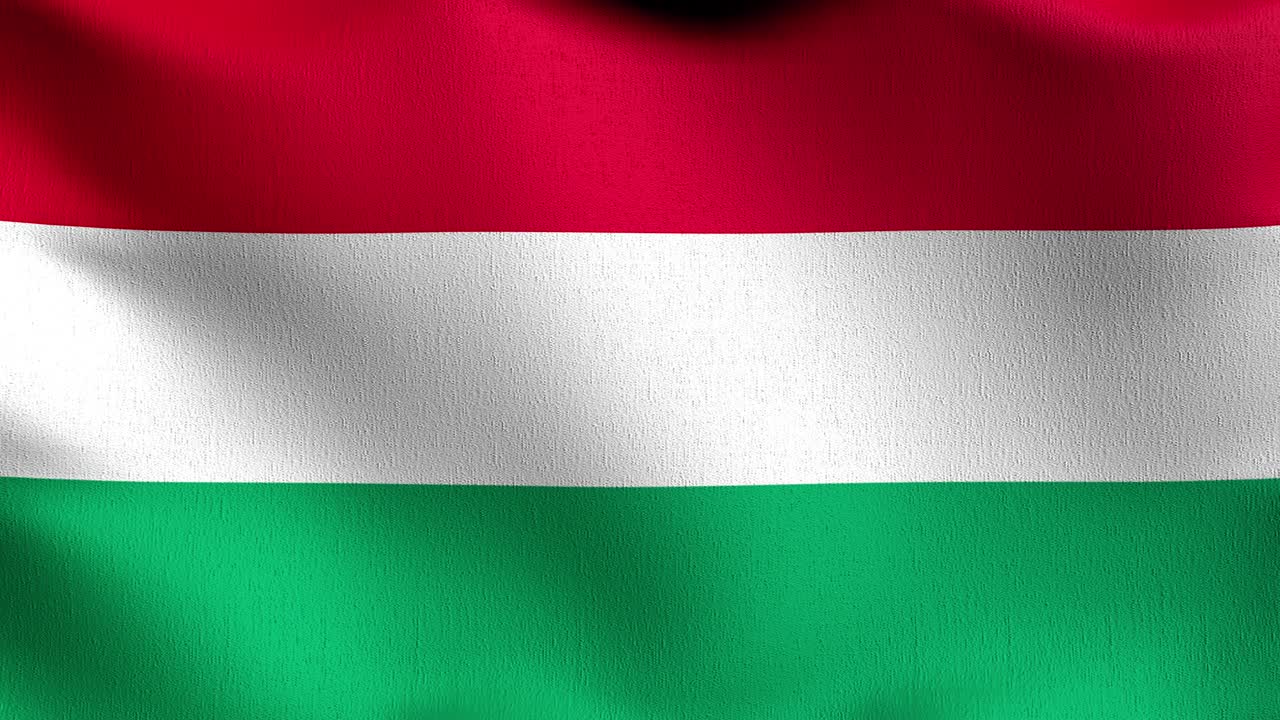 가리 국기 바람에 날아다니며 고립 된 공식 애국적 추상 디자인 3d 렌더링 기호의 일러스트레이션