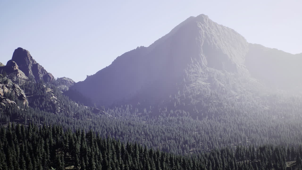 Majestic mountain range rising above dense evergreen forest at dawn